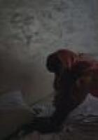 shemale.transy-msk.me
